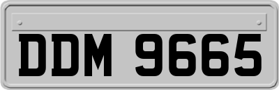 DDM9665