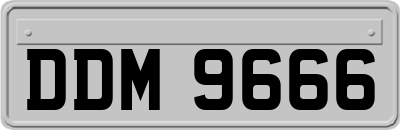 DDM9666