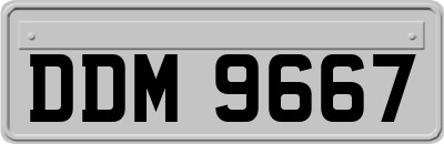 DDM9667