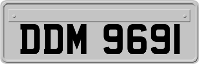 DDM9691