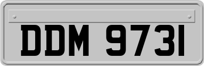 DDM9731