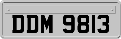 DDM9813