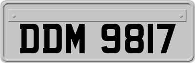 DDM9817