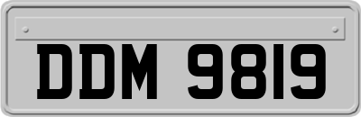 DDM9819