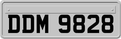 DDM9828
