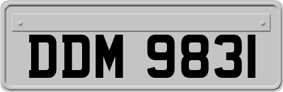 DDM9831