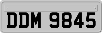 DDM9845