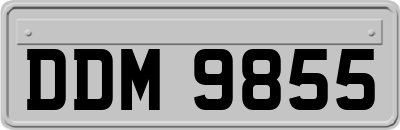 DDM9855
