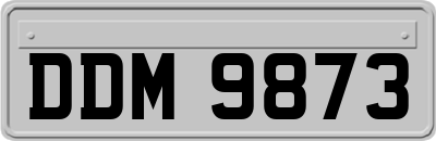 DDM9873