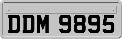 DDM9895