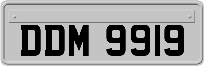 DDM9919