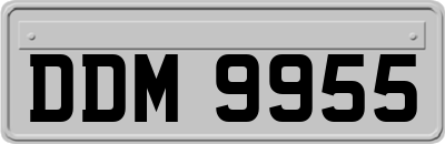 DDM9955