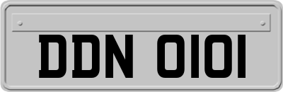 DDN0101