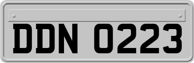 DDN0223