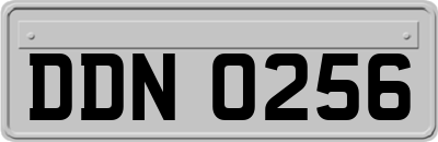 DDN0256