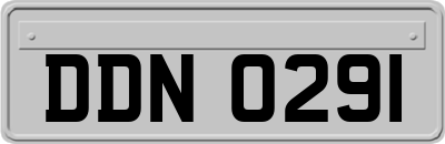 DDN0291