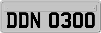 DDN0300