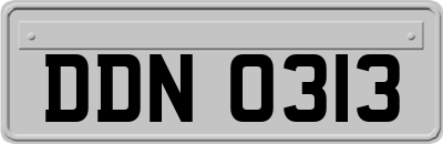 DDN0313