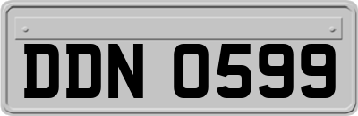 DDN0599