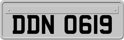 DDN0619