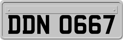 DDN0667