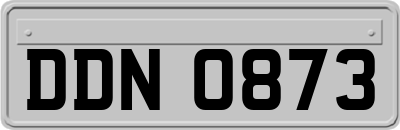 DDN0873