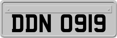 DDN0919