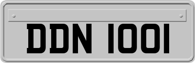 DDN1001