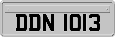 DDN1013