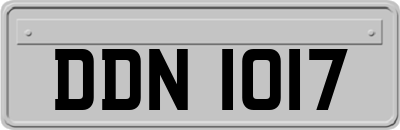 DDN1017