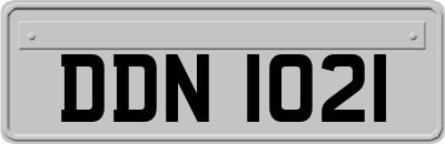 DDN1021