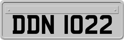 DDN1022