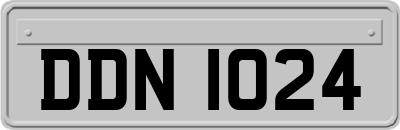 DDN1024