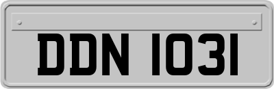 DDN1031