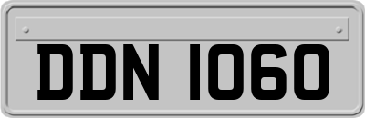 DDN1060