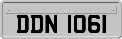 DDN1061