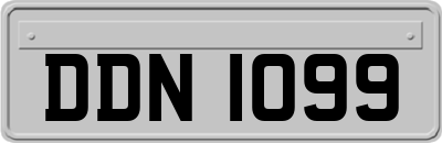 DDN1099