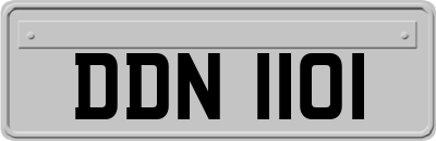 DDN1101