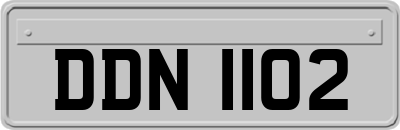 DDN1102