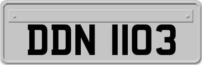 DDN1103
