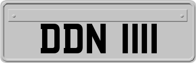 DDN1111