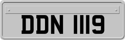 DDN1119