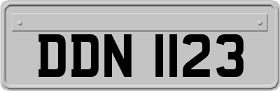 DDN1123