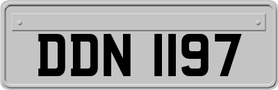 DDN1197