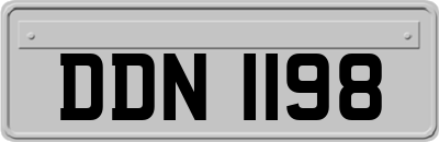 DDN1198