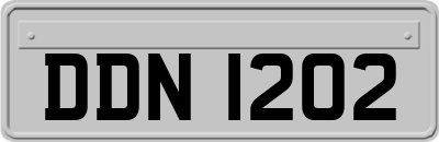 DDN1202