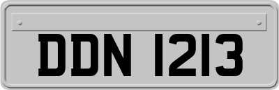 DDN1213
