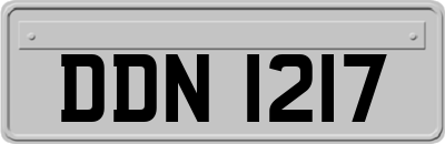 DDN1217