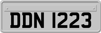 DDN1223