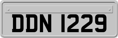 DDN1229